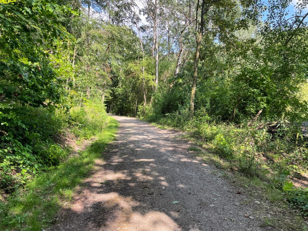 Hiking in the Luxembourg Forests