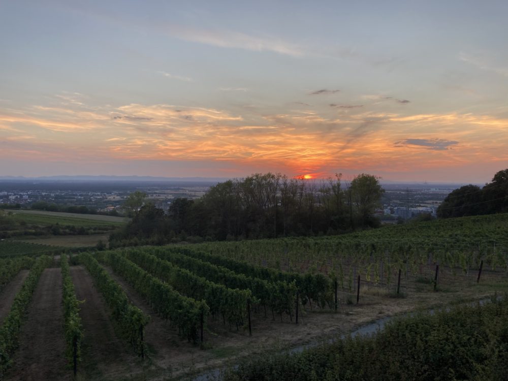 Sunset in Germany