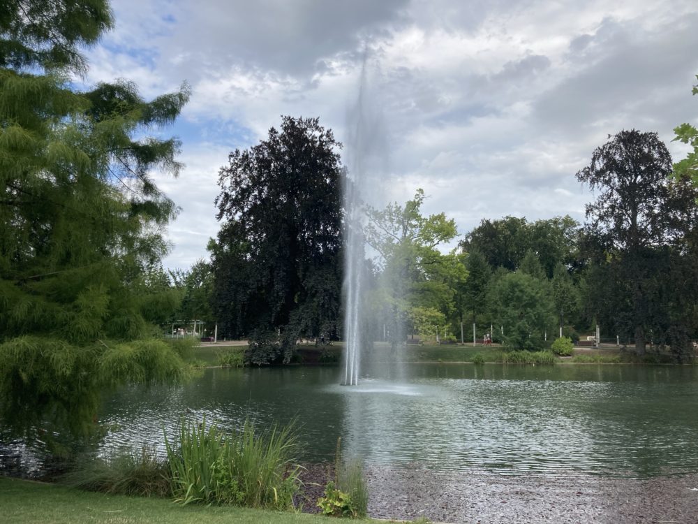 Green Feeling in Strasbourg