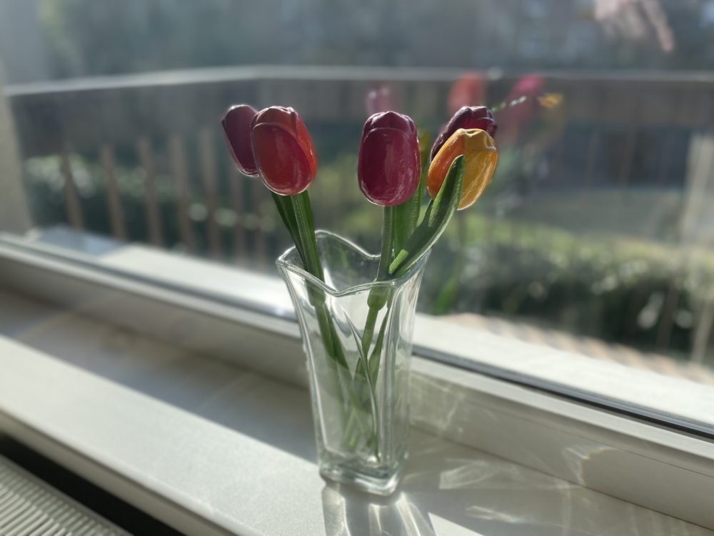 Tulips