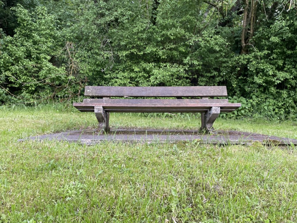 An Inviting Bench