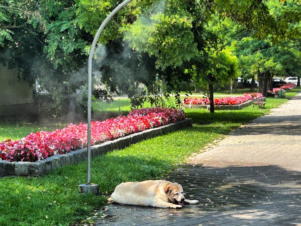 Misting Gates in Budapest