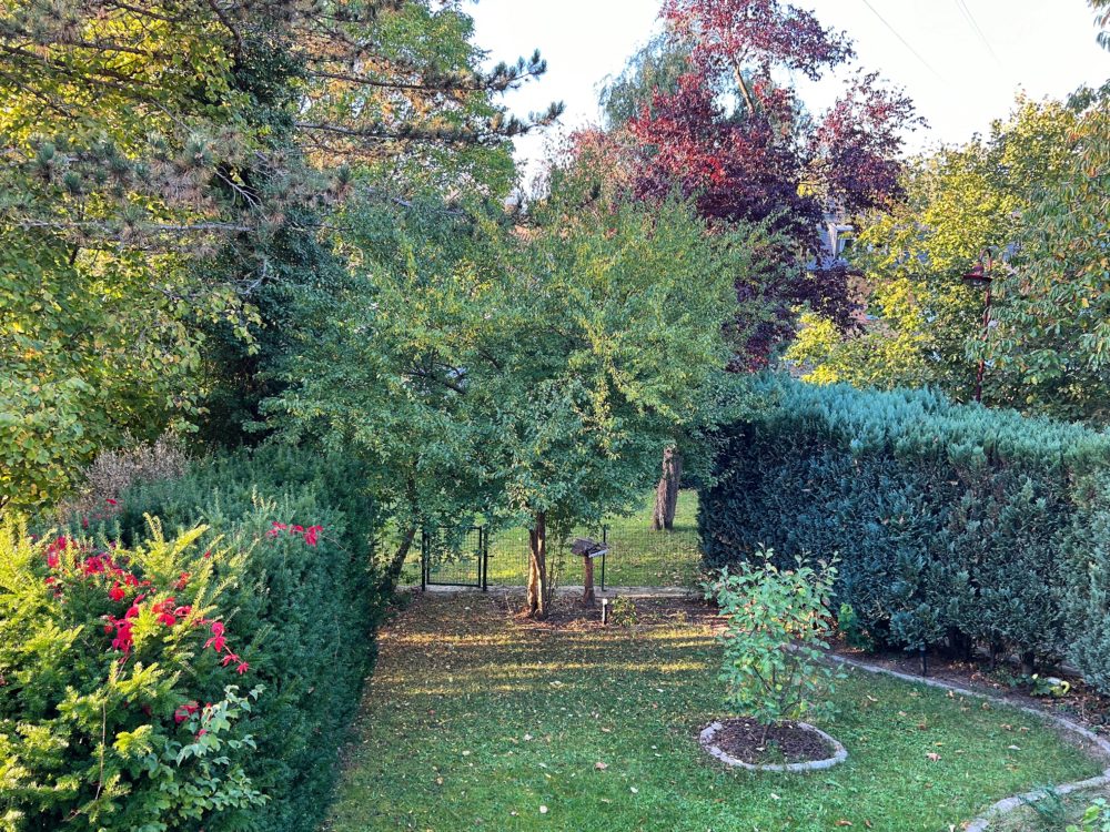 Luxembourg: A Land of Thousand Colors in Autumn