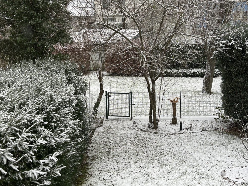 Winter in Luxembourg: A fleeting wonder