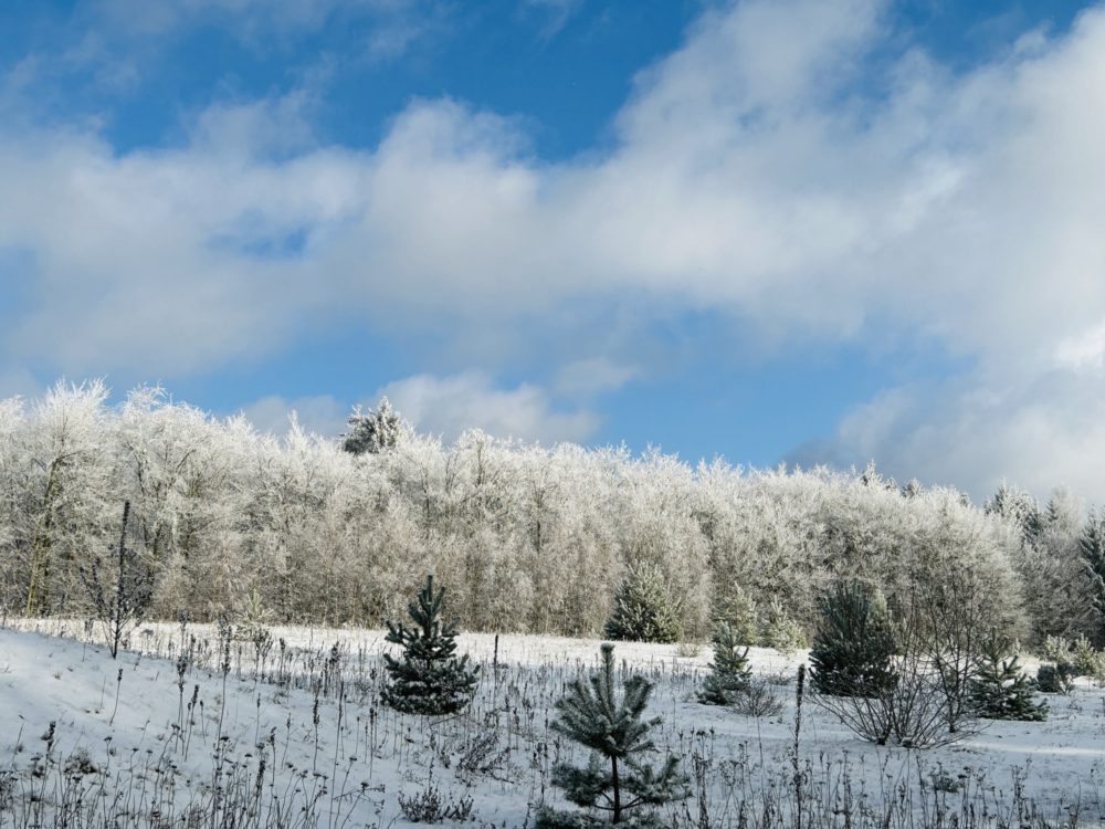 Winter in Luxembourg: Challenges and Beauty