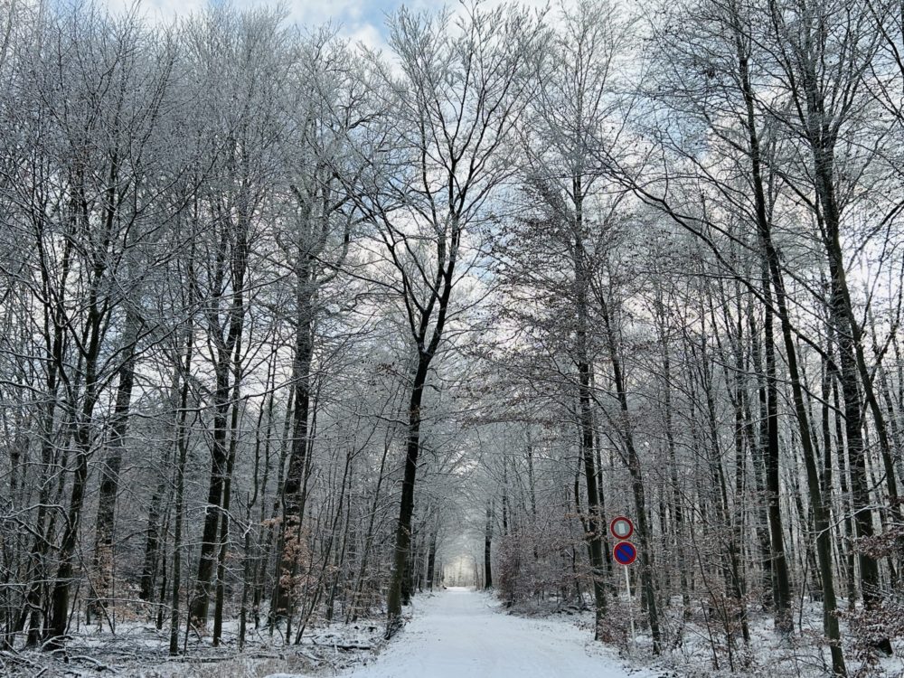 Winter Hiking in Luxembourg: A Treat for Nature Lovers