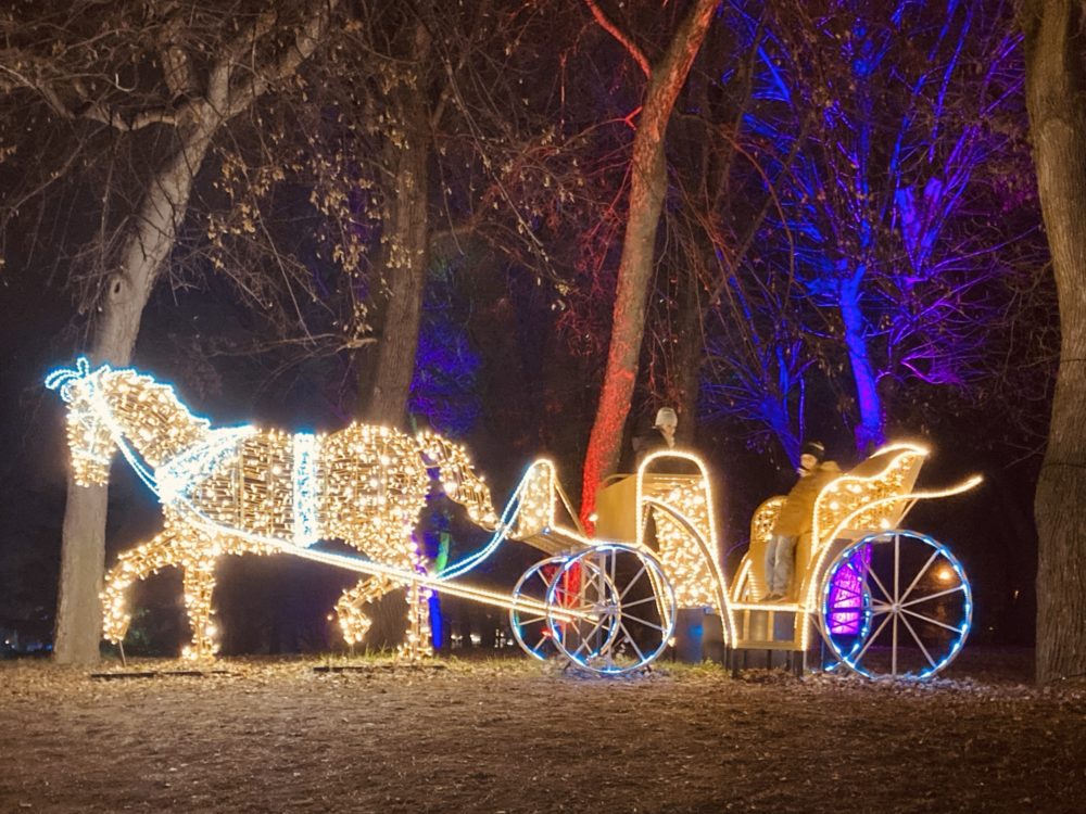 Budapest’s Horse Carriages: A Journey Through the Past and the Present