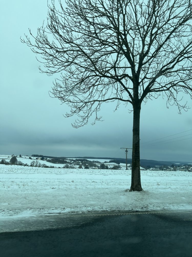 Winter Memories in the North of Luxembourg