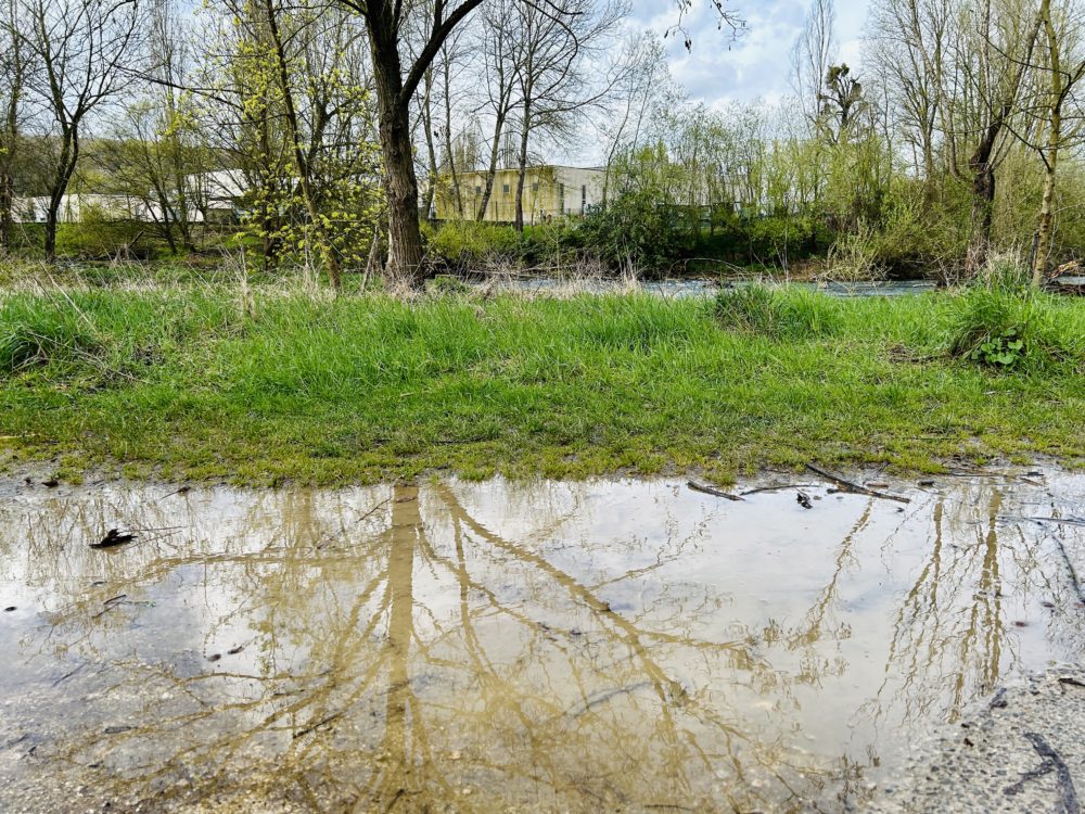 The Reflective Beauty of Rain