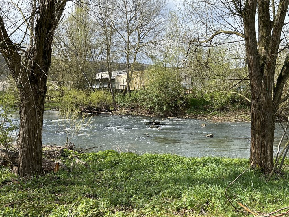 The Alzette River: From Tranquil Stream to Torrential Force