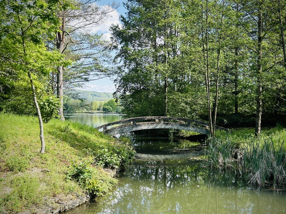 The Charm of Echternach’s Lakeside Promenades