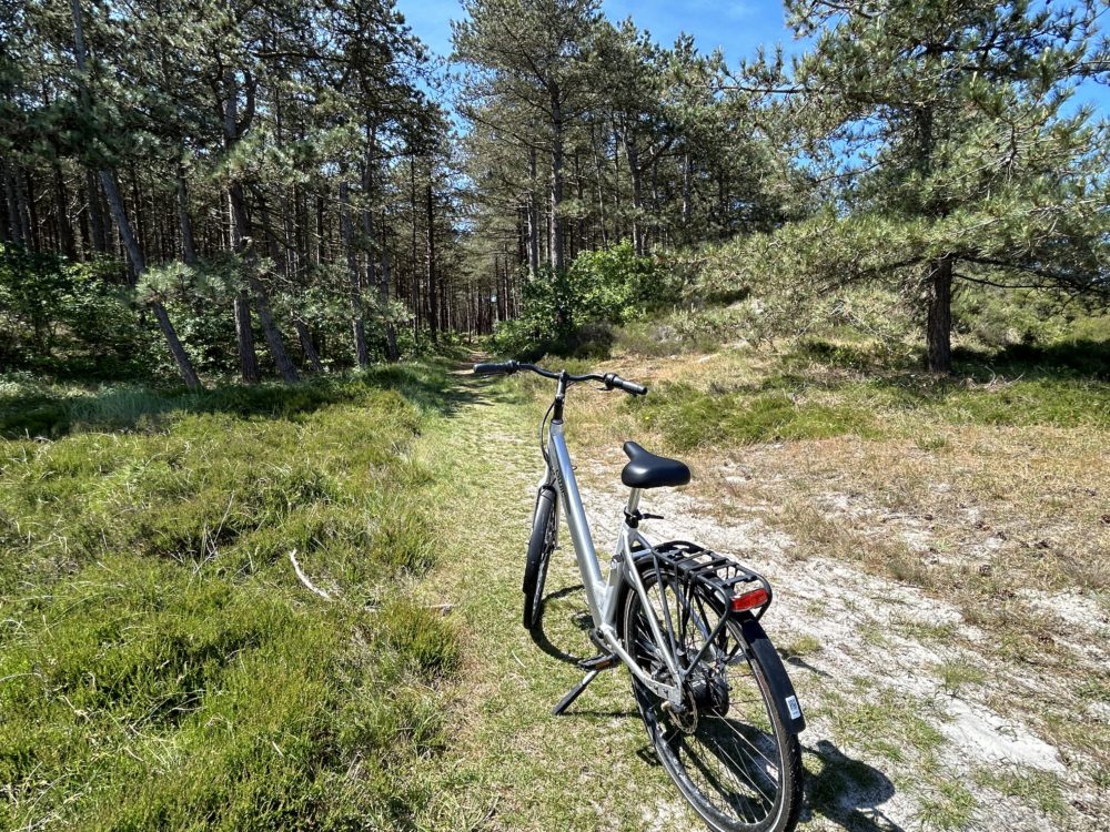 The Pedalling Paradise: The Dutch Cycling Phenomenon