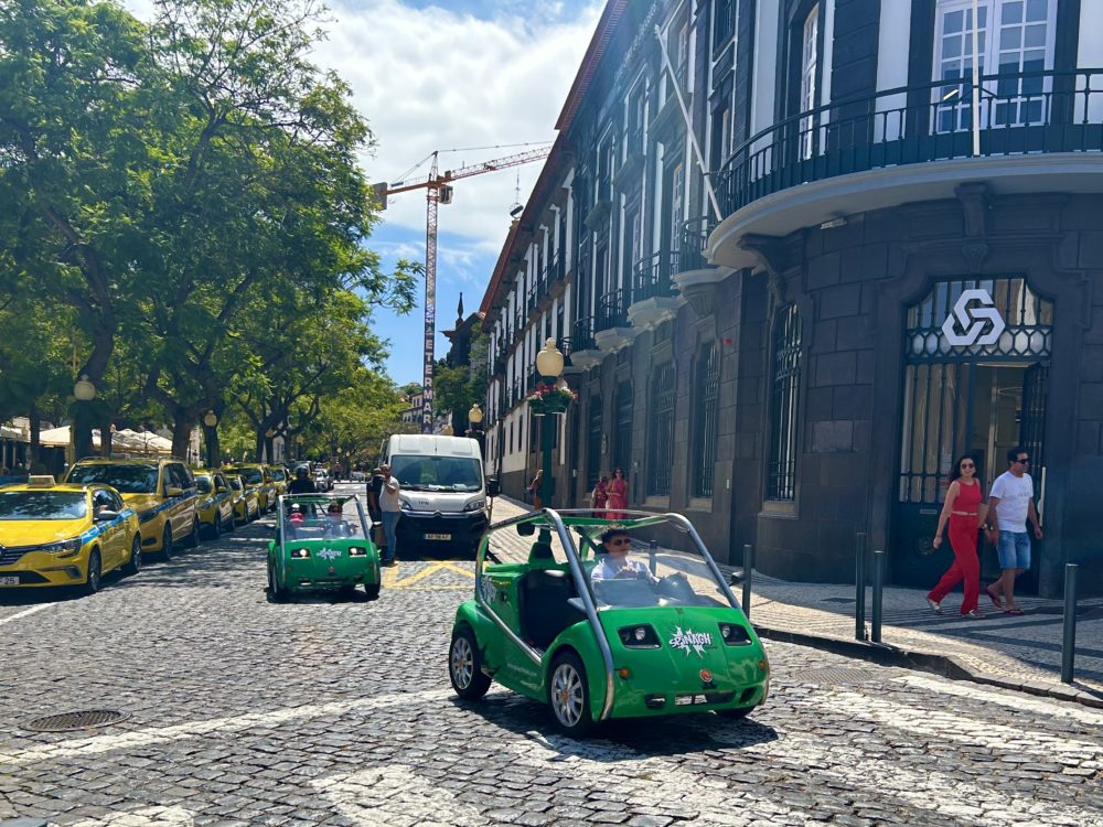 Discover the Charm of Spinach Car Rentals in Madeira