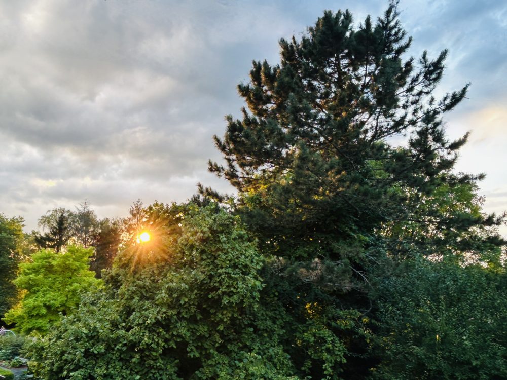 Embrace the Tranquility of a Luxembourgish Summer