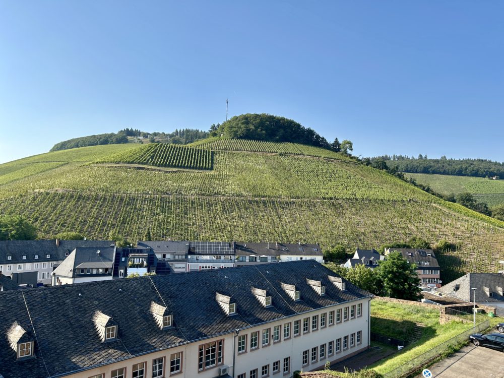 Vineyards of Saarburg: A Blend of Tradition and Excellence