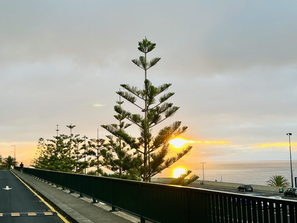 Catching the First Light: Sunrise at Madeira Airport