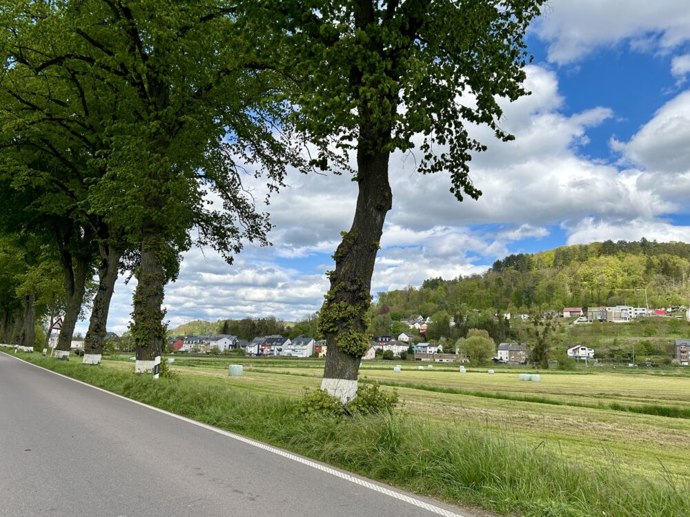 From Serenity to Congestion: The Changing Roads of Luxembourg’s Countryside