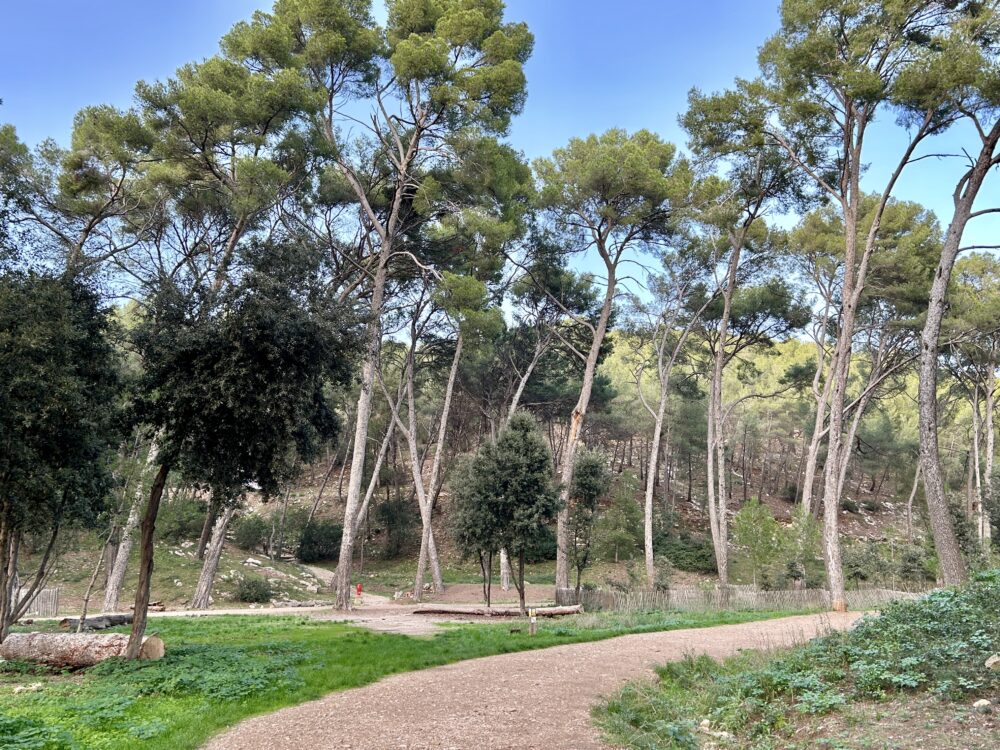 The Enchanting Wilderness of La Pointe Fauconnière, Saint-Cyr-sur-Mer, France