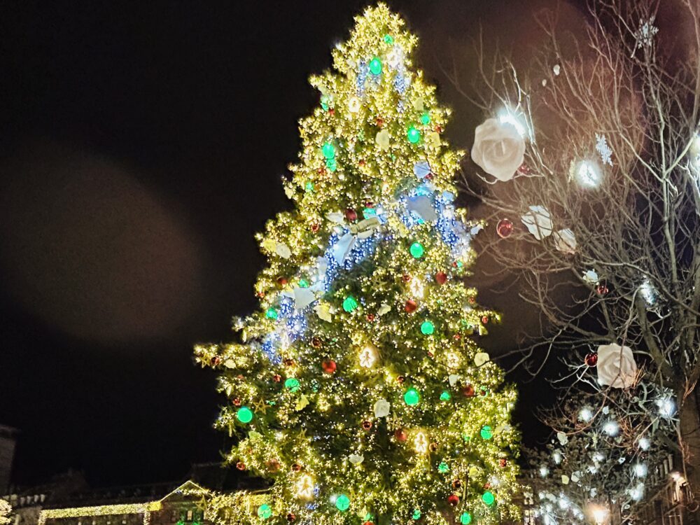 Merry Christmas from Strasbourg’s Iconic Tree