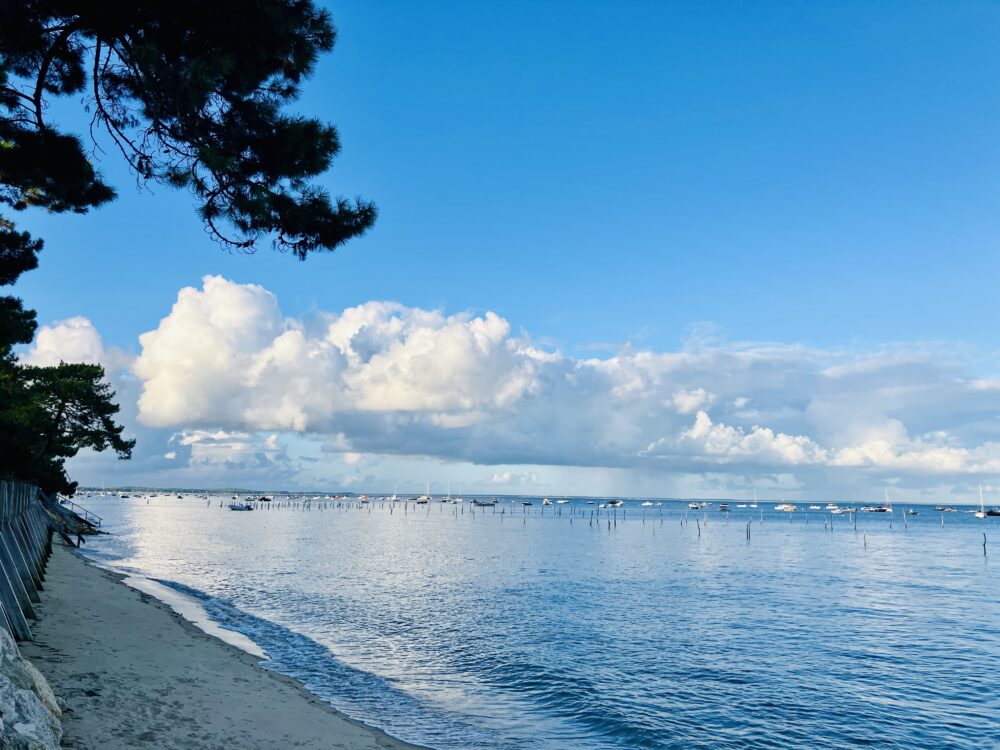 Cozy Autumn Evenings in Cap Ferret: A Peaceful Retreat