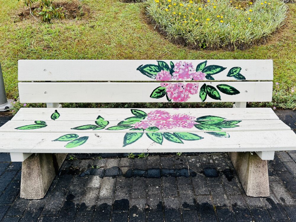 Embracing Nature: The Joy of a Simple Bench
