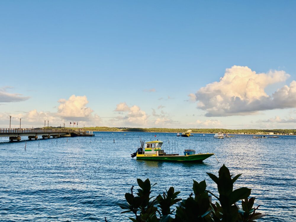 The Tranquil Bay of Cap Ferret: A Culinary Haven and Fishing Paradise