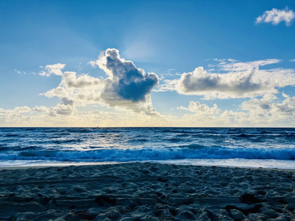 The Enchanting Duality of the French Atlantic Coast
