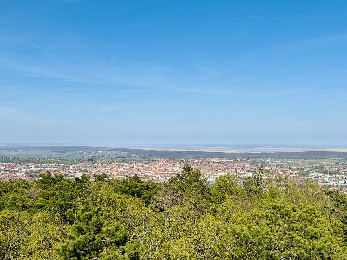 The Stunning Panorama from Károlyi Lookout Tower in Sopron, Hungary