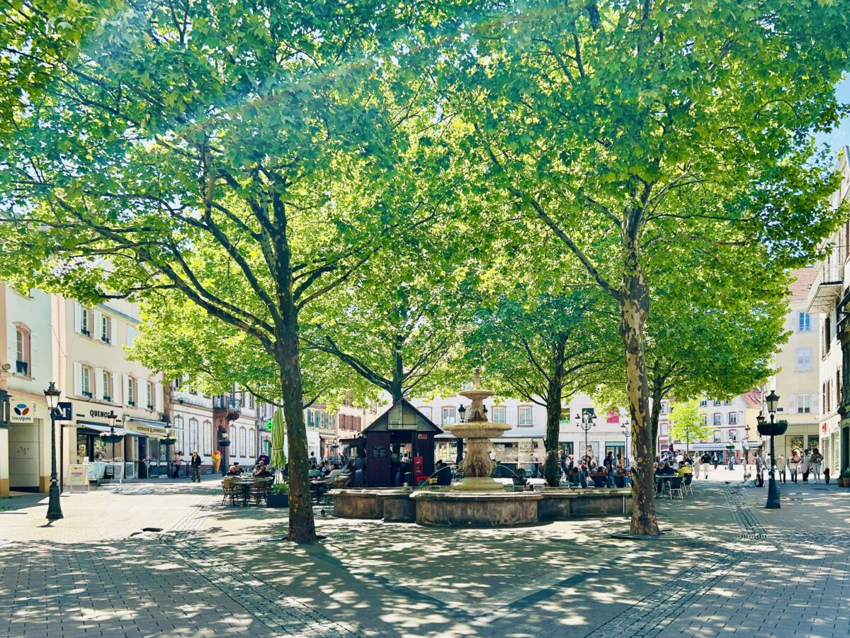 Haguenau: A Hidden Gem in Alsace  