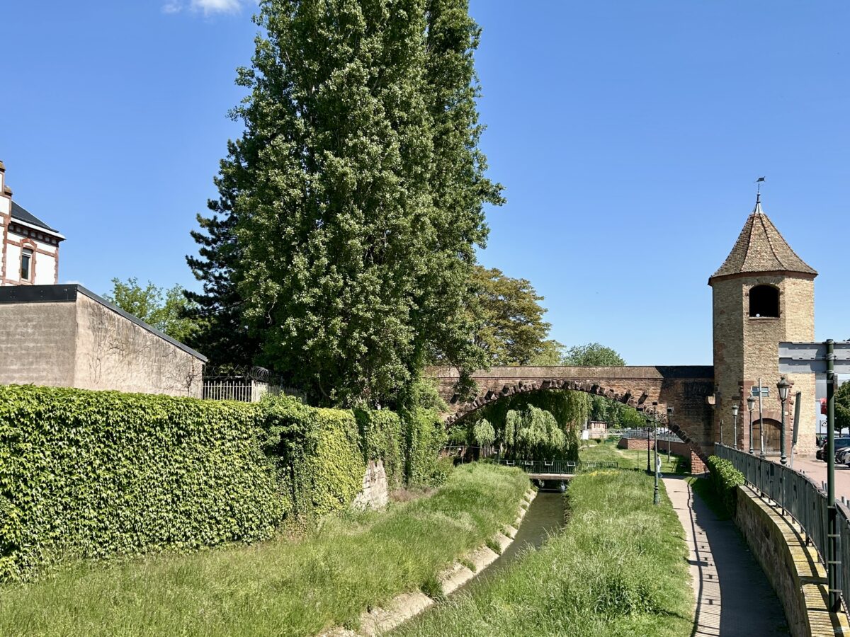 The Historic Tour des Pêcheurs: A Timeless Landmark in Haguenau  