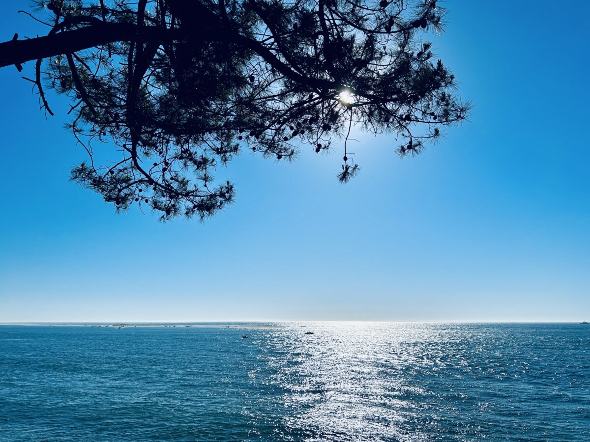 The Majestic Atlantic: A Breathtaking Panorama from the Top Corniche in Teste-de-Buch  