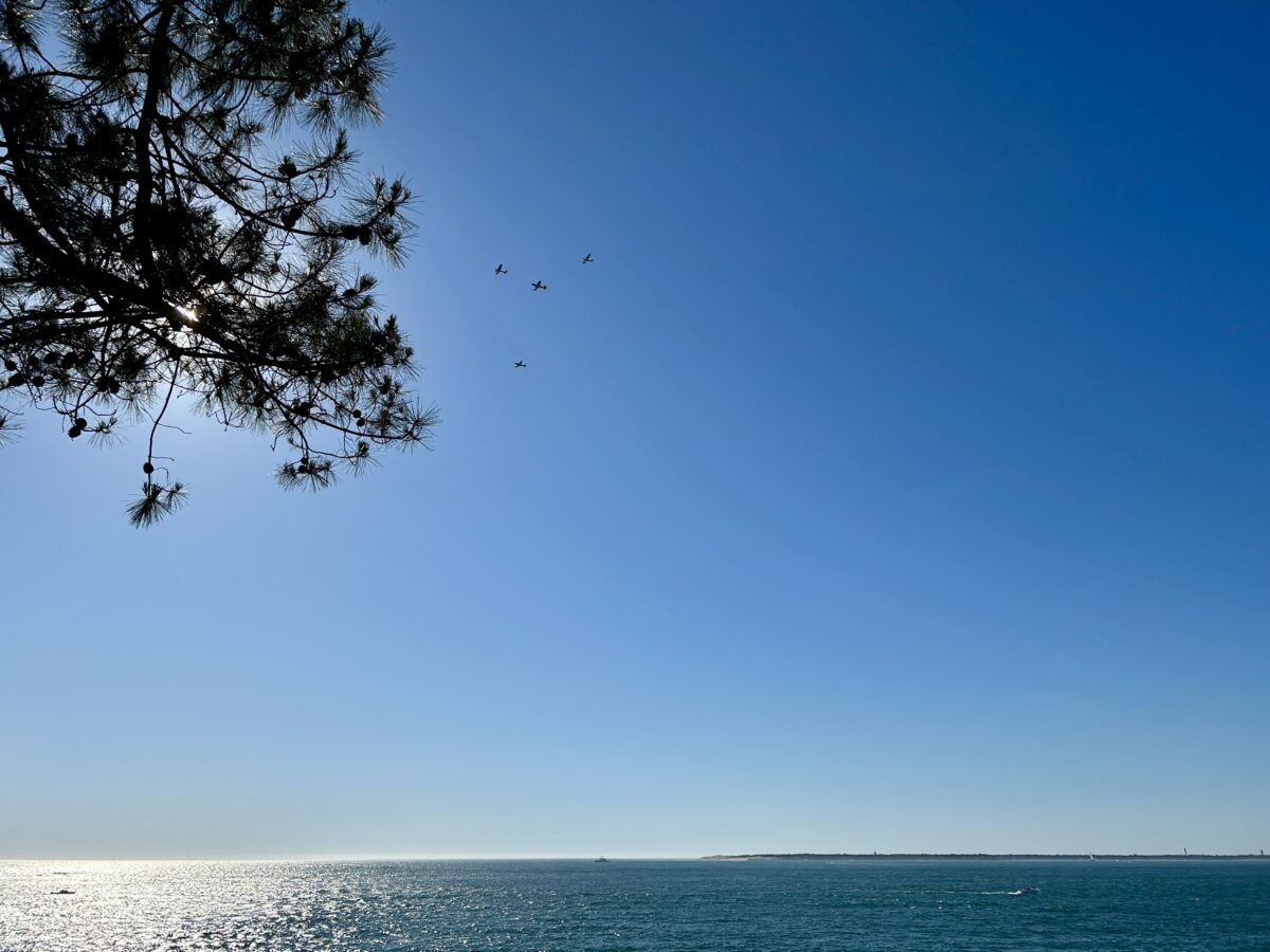 Pines, Planes and Peaceful Chaos: A Day at La Teste-de-Buch