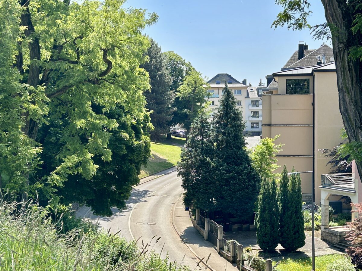 Luxembourg City: Where Nature Meets the Streets