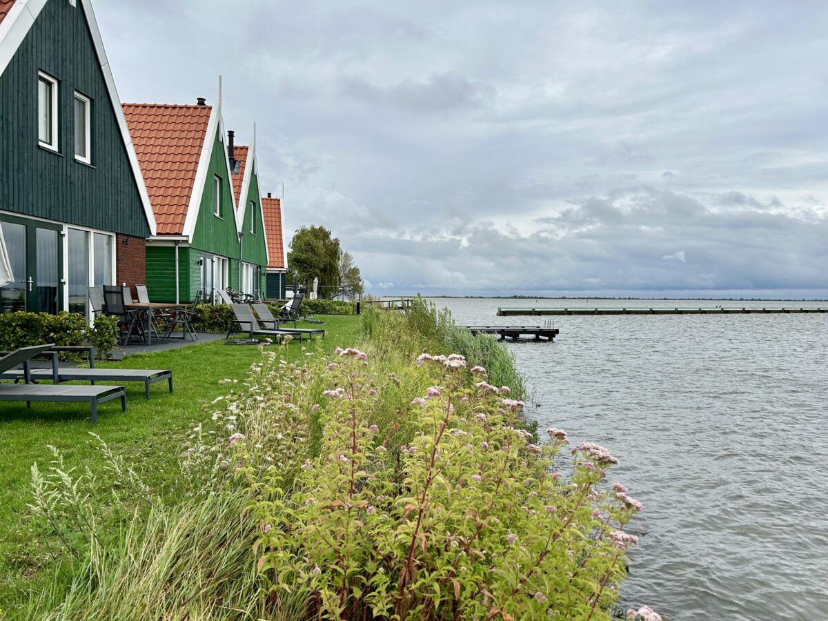 Croaking by the Lake: A Volendam Holiday with Amphibian Soundtrack
