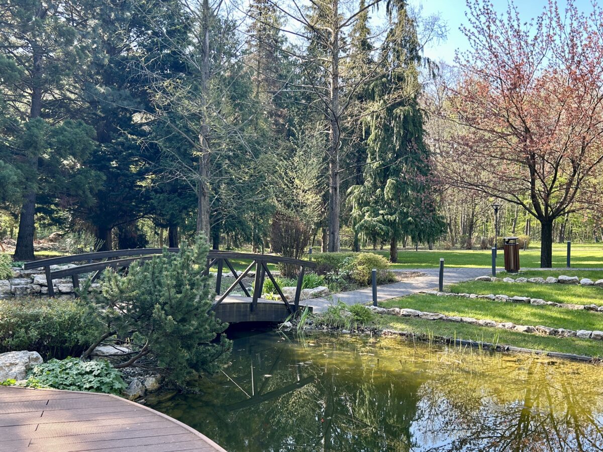 Fagus Hotel in Sopron: Where Silence Checks In First