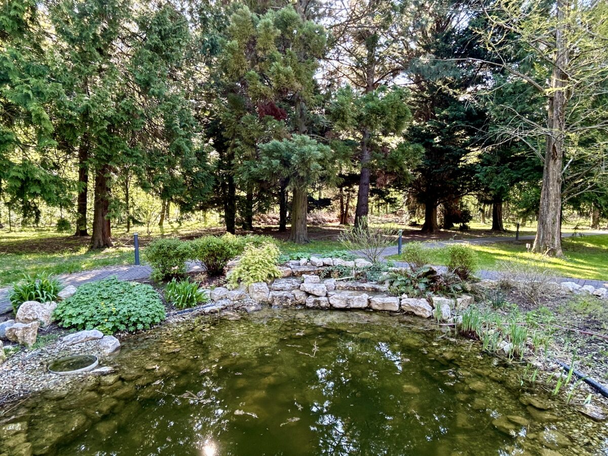 A Lake, a Lie-Down, and a Lot Less Stress