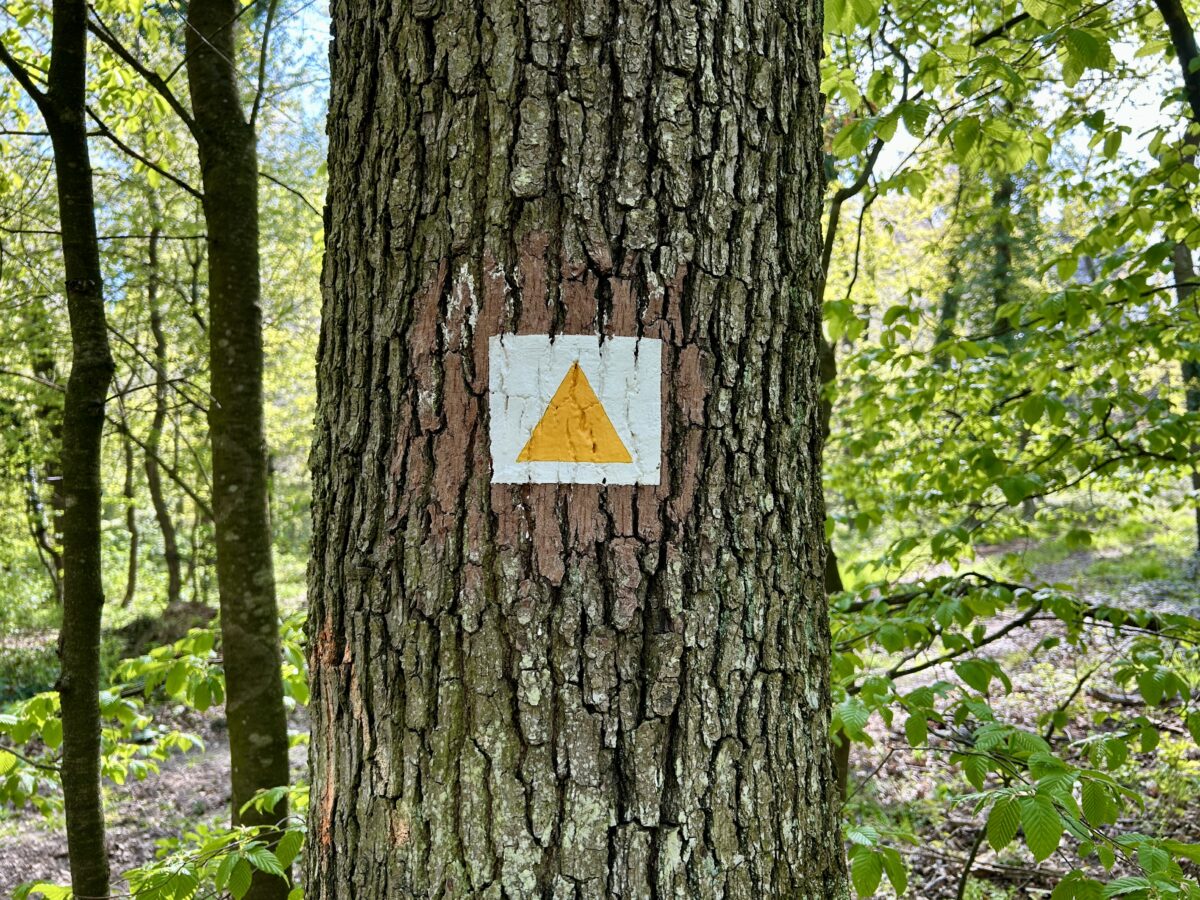 Hungary’s Hiking Signs, Blue Trails and a Million Steps of Madness