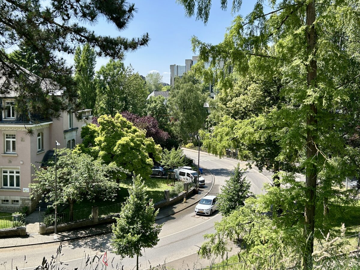 The Wild Side of the Concrete Jungle