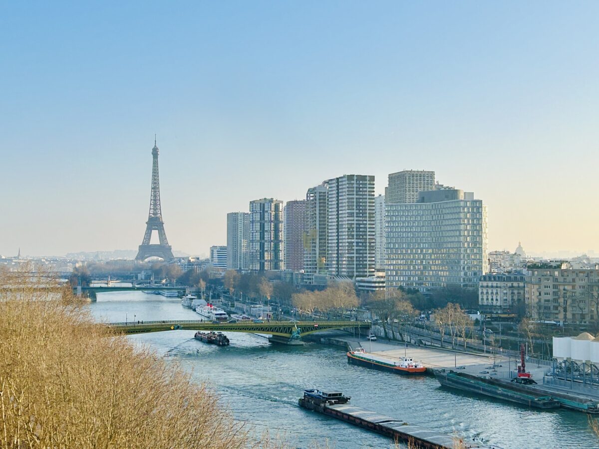 Seine and the City: Paris’s Lifeline with a View