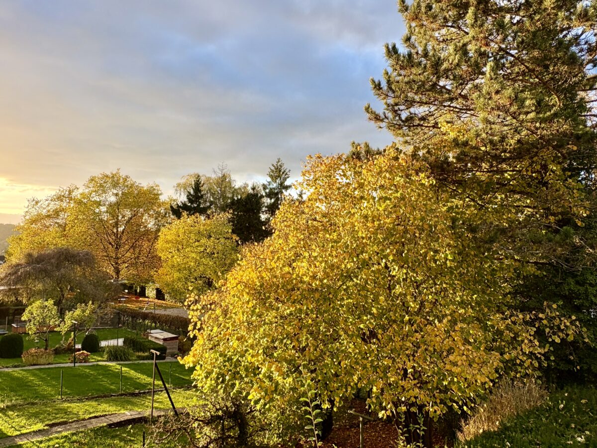 Autumn Turns Luxembourg into a Golden Wonderland