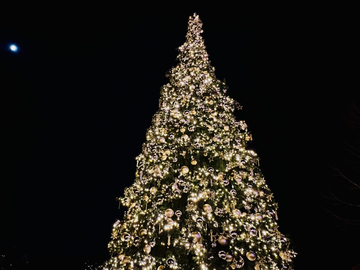 The Giant Tree of Luxembourg’s Christmas Market