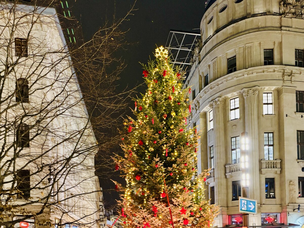 The christmas tree that owns Vörösmarty tér in Budapest