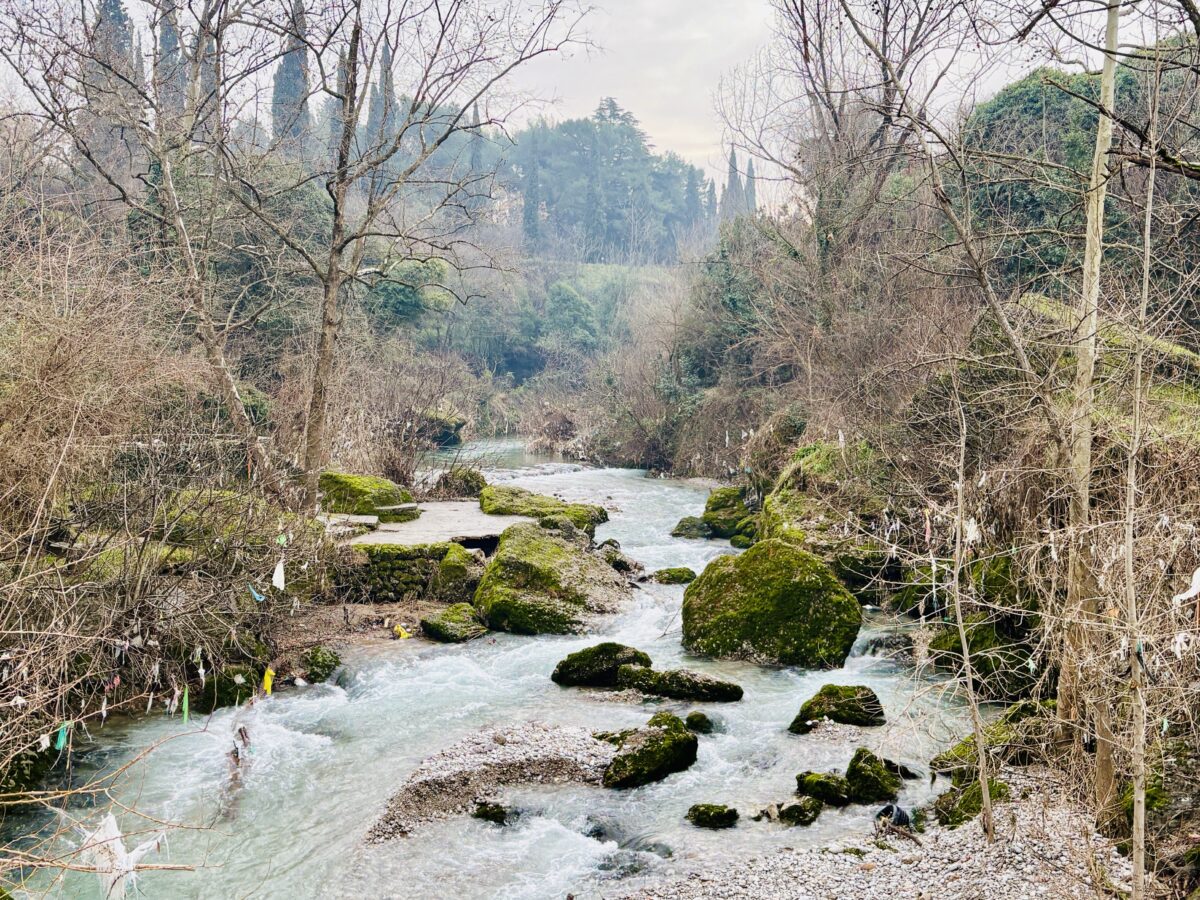 A small river with a big personality in Podgorica