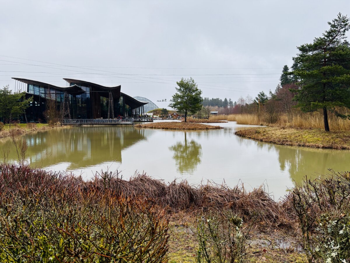 Center Parcs and the business of holidays