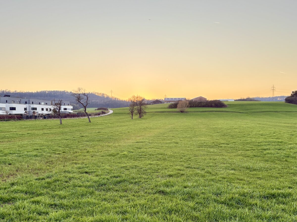 Spring greenery and the price of Luxembourg’s land