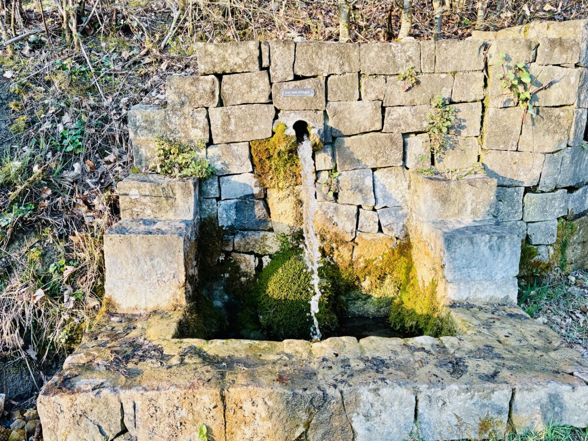 Luxembourg’s Hidden Waters: Springs Beneath the Forest