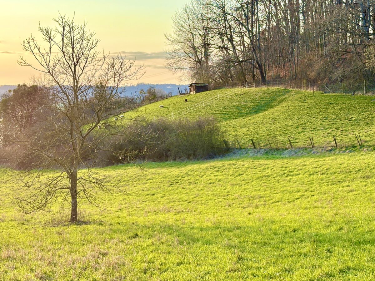 Rolling hills and green valleys: the Alpine landscape in Luxembourg