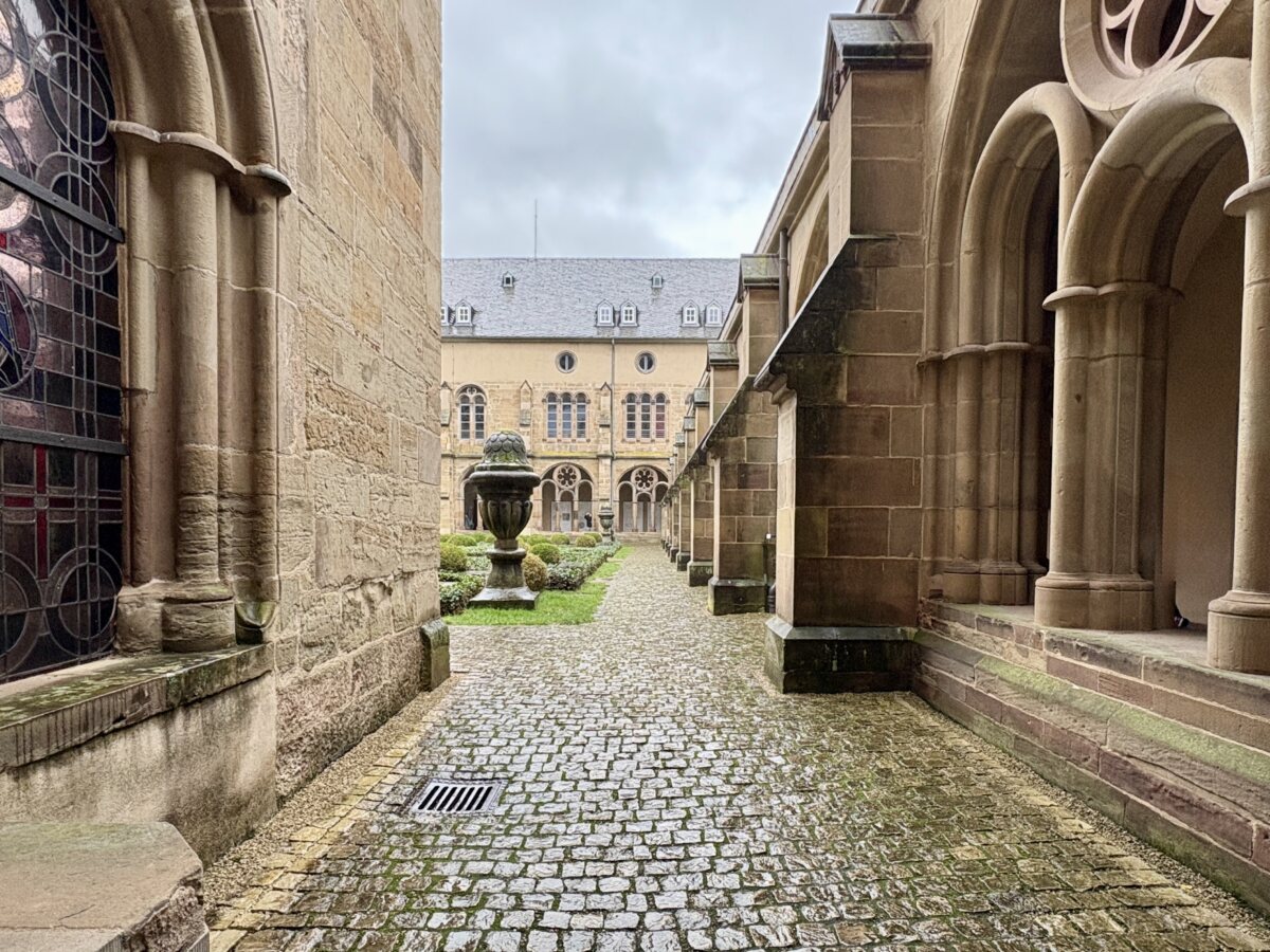 The secret garden of Trier cathedral