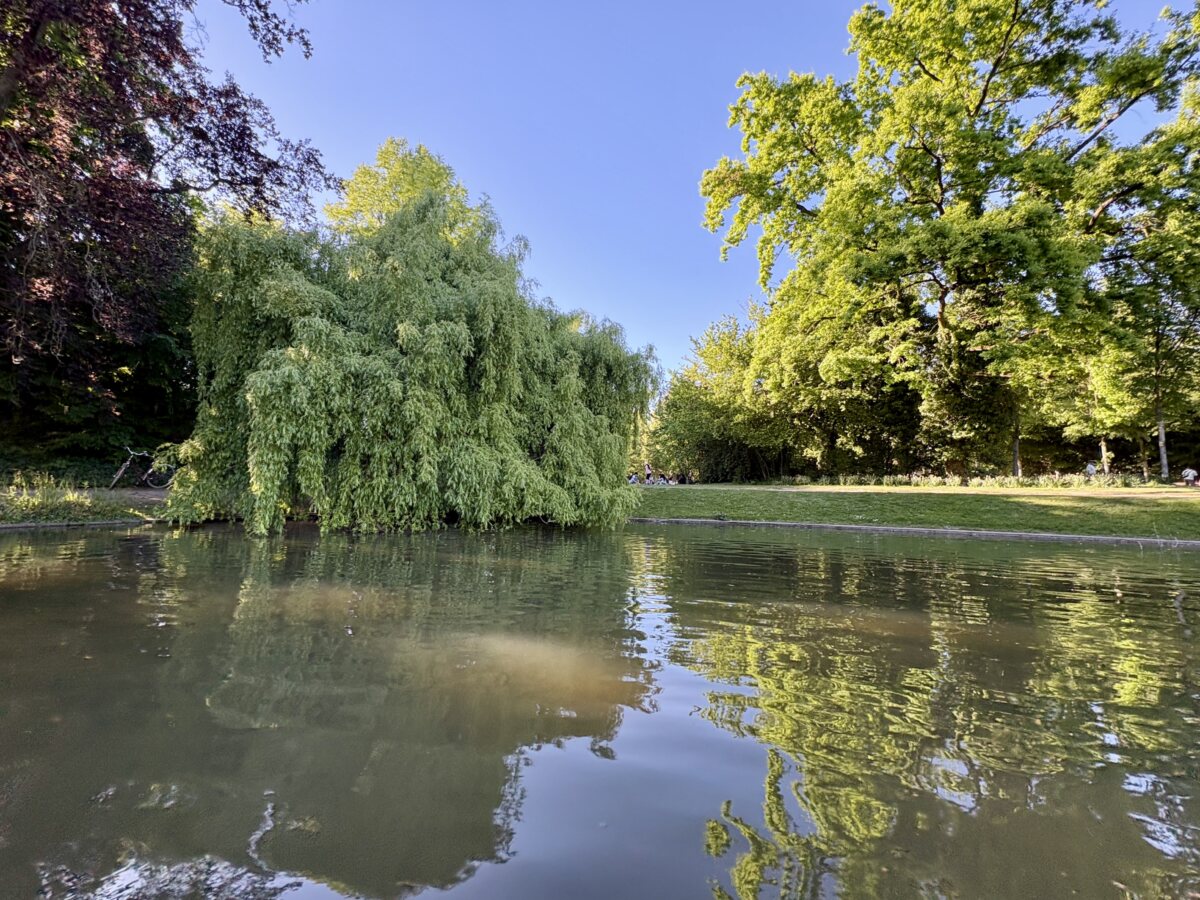 A bit of peace and quiet at the Orangerie lake
