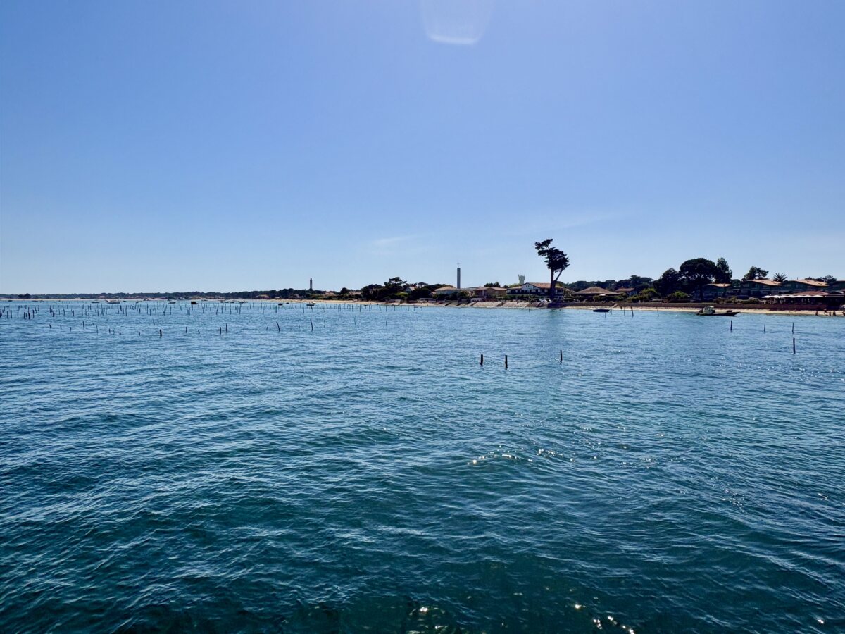 Arcachon oysters: The slimy treasure of the muddy bay